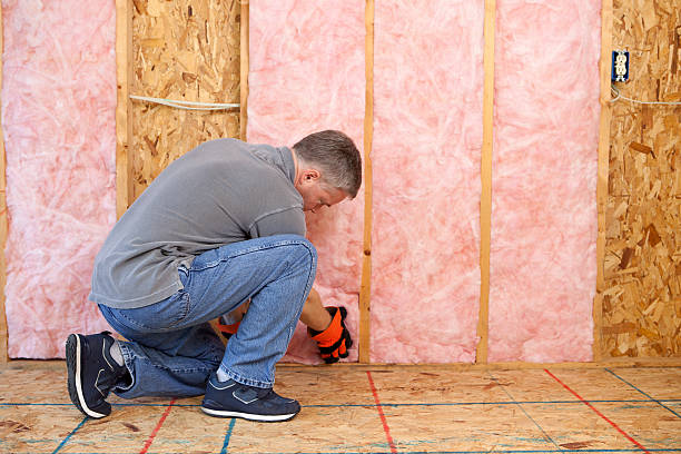 Professional Insulation Contractor in Stock Island, FL